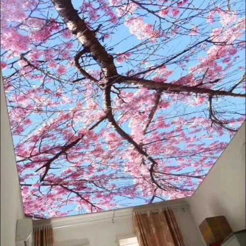 Stretch Ceiling Fabric Signage